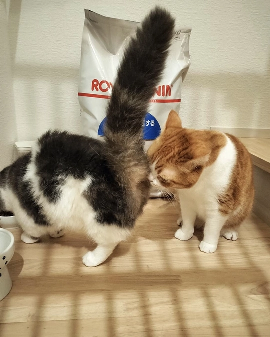 約2週間ぶりの再会