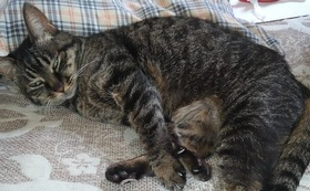 感謝のメールと写真1枚