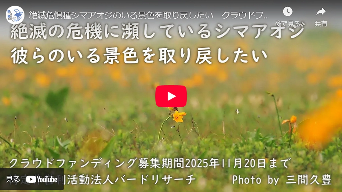 活動を広く知っていただけるよう動画を作成しました