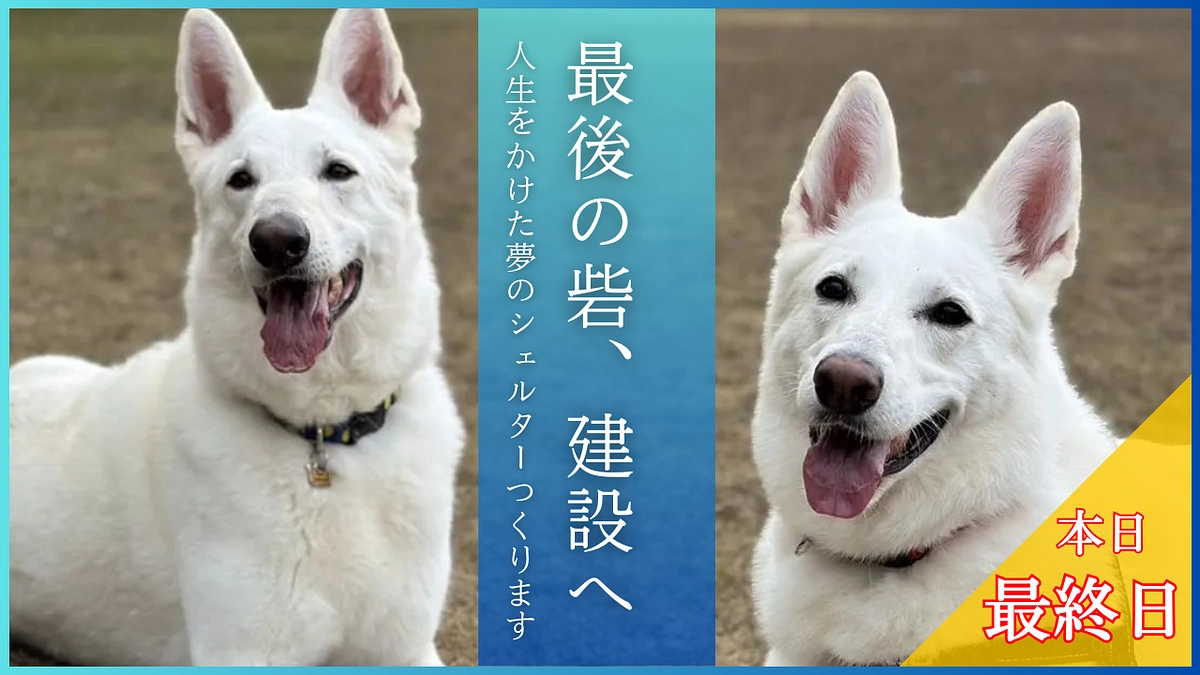 【本当のラストスパート！あと3時間】皆様への感謝と、最後までよろしくお願いいたします！