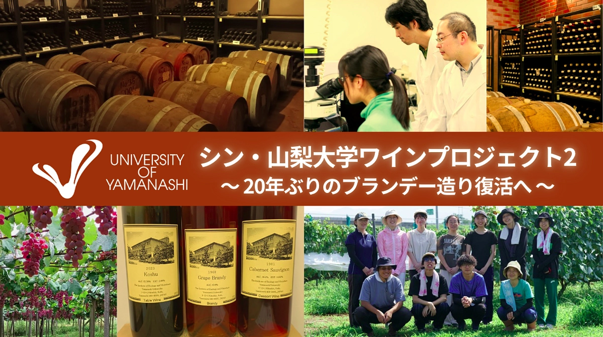 【予告】ブランデー製造プロジェクト