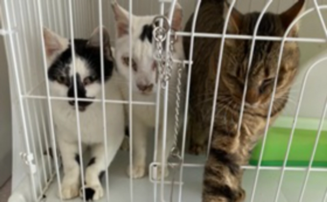 【定期サポート】2,000円コース