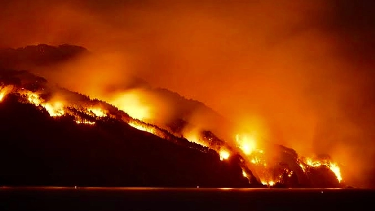 岩手大船渡山林火災ボランティア活動