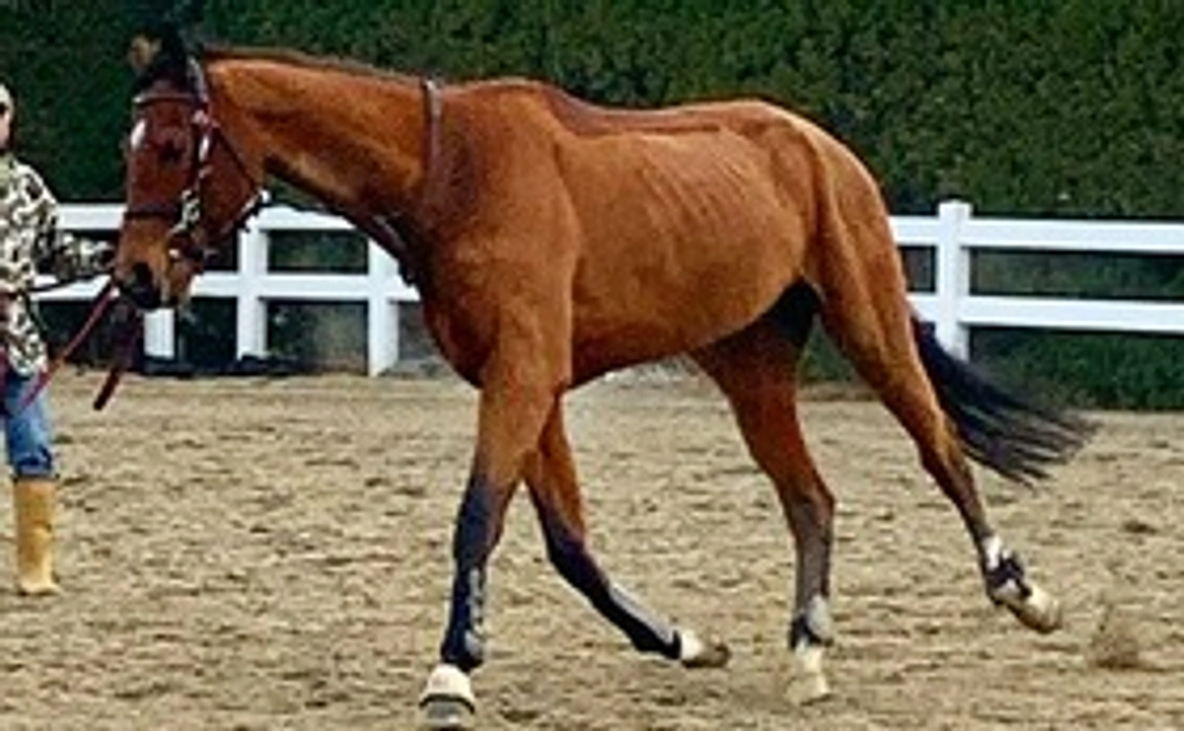 マンスリー支援10000円