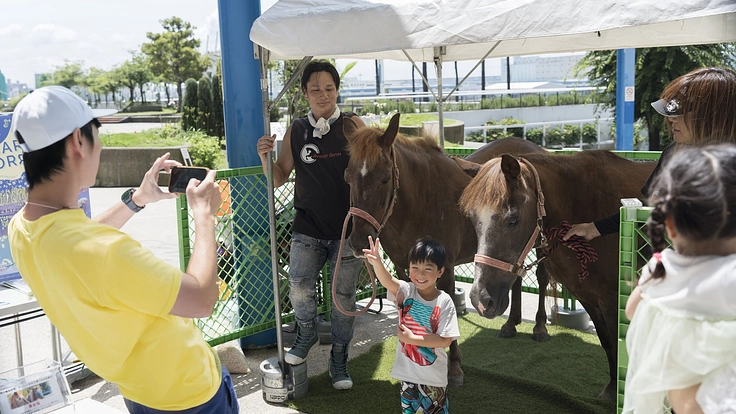 児童養護施設を支援！馬とのふれあいで子供たちを笑顔にしたい 4枚目