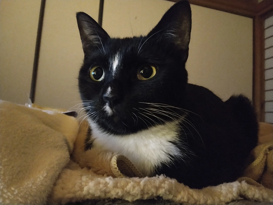 4/6はなちゃんの様子