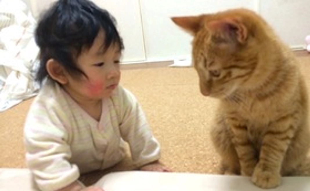 ハーツ活動応援コース