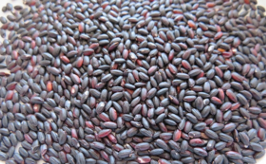 健康古代米　黒米　（朝紫）1㎏