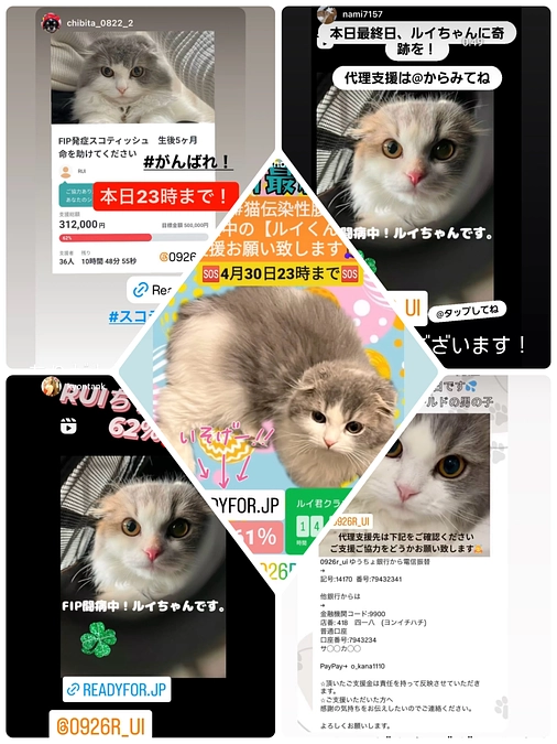 みなさまありがとうございます！