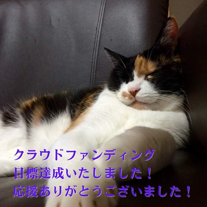 プロジェクト達成の（取り急ぎの）御礼