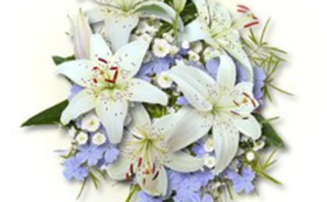 心理カウンセリング料金・各種講座、Workshop参加費として使用できるチケット10,000円分のチケット謹呈