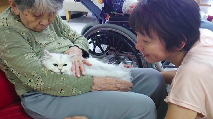 猫と一緒に老人養護施設を訪問し、お年寄りたちの心を癒したい！