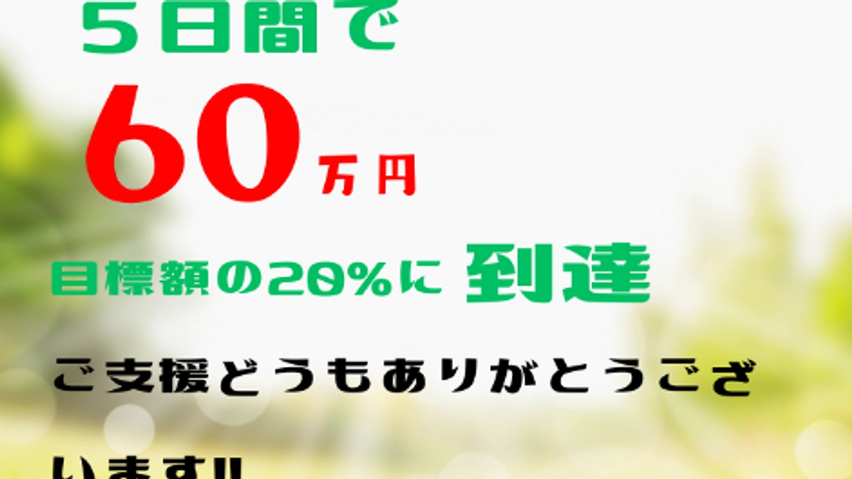 第6弾プロジェクト【60万円突破！】あわねこ保育園の毎日