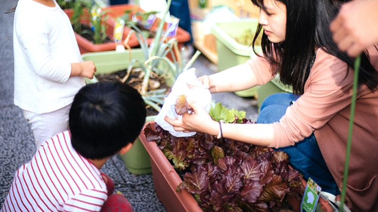 街角で野菜を育て、根津のまちをもっと豊かに！