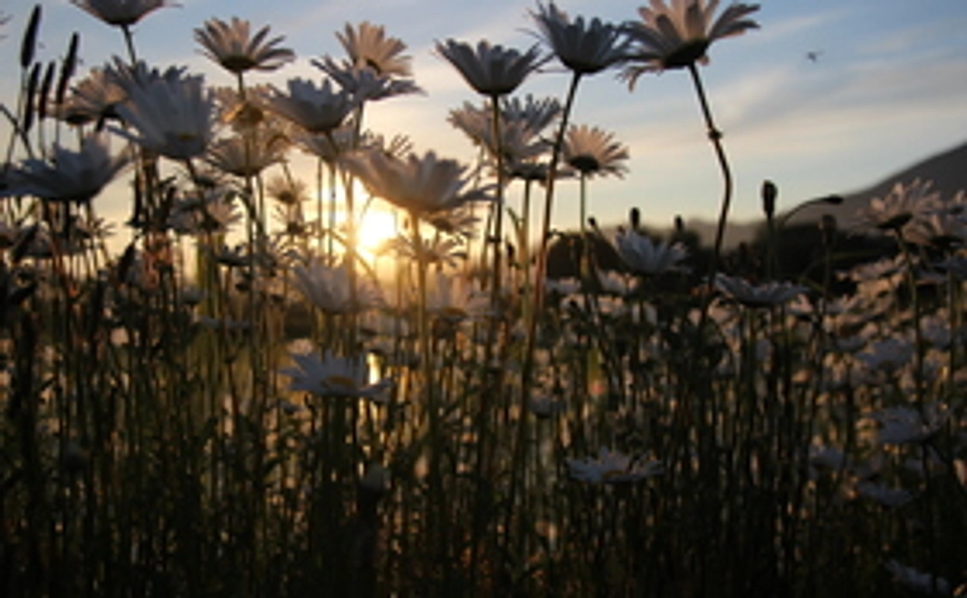 たくさんの感謝の気持ちを込めて