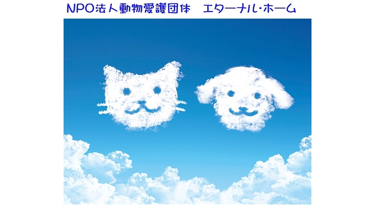 譲渡が困難な老犬・老猫の命をつなぐ！マンスリーサポーター募集中