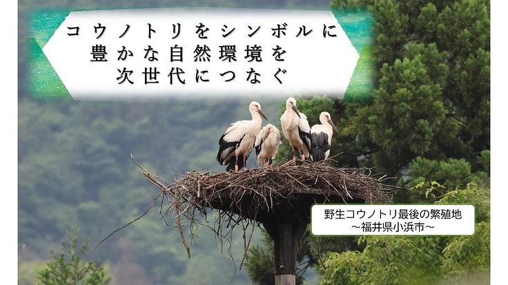 コウノトリと共に生きる郷づくり～環境保全プロジェクト～