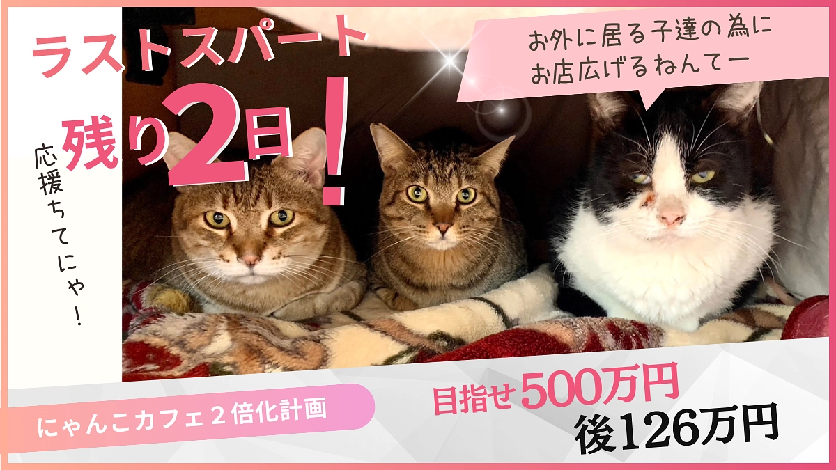 【残り2日】情報拡散にご協力お願いします！応援メッセージのご紹介