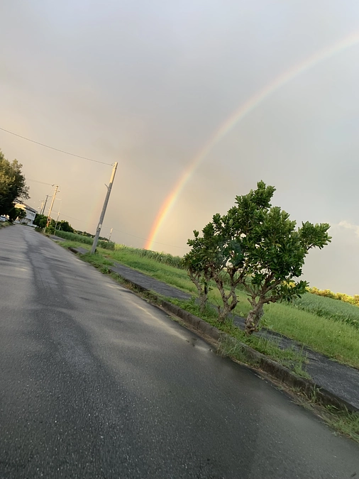 次々とTNR！にゃんこ亭のローリング作戦について説明します🐱
