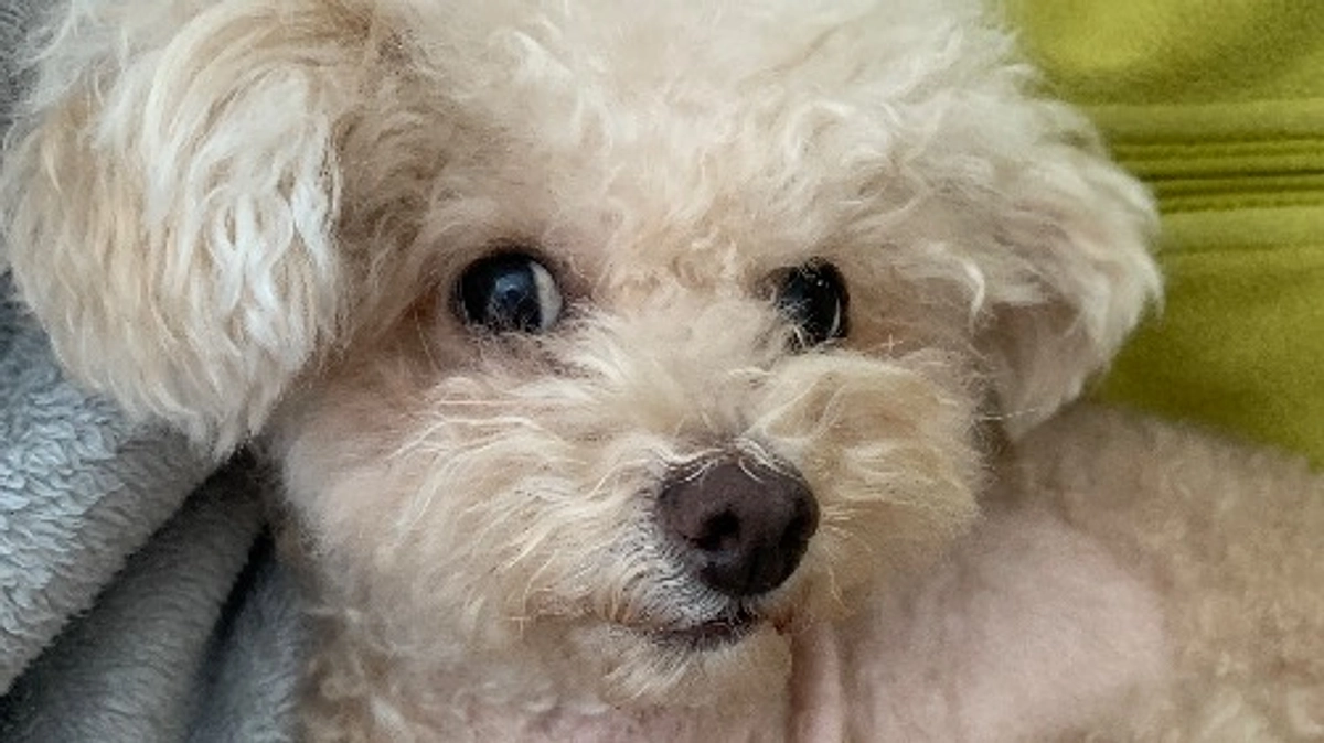 プロジェクト達成いたしました！