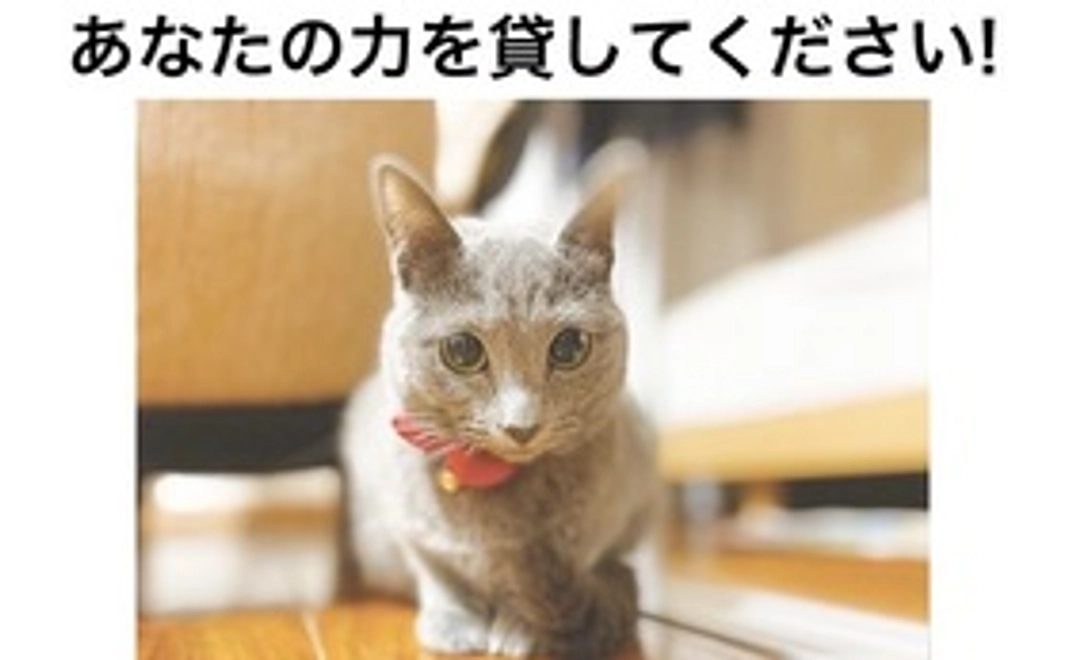 【マナちゃんを応援したい！】-500