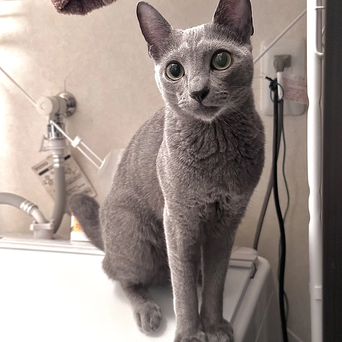 投薬33日目〜35日目