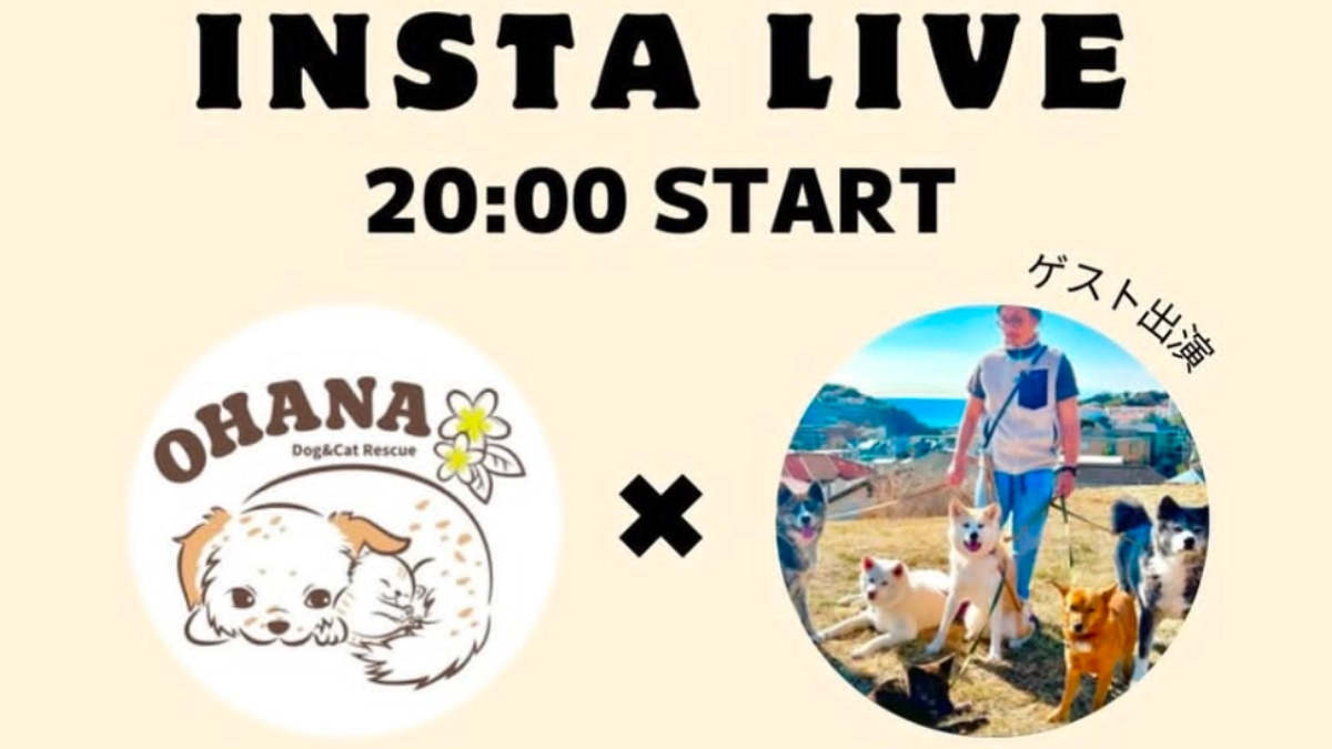 【OHANAインスタライブ】のお知らせ！