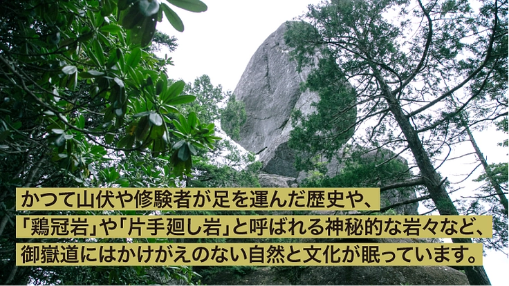 日本百名山・金峰山の「忘れられつつある登山道」を復活させる！ 5枚目
