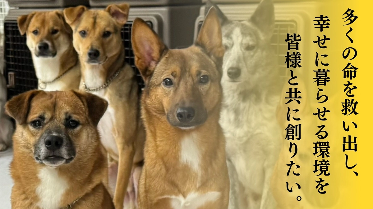 2回目のクラウドファンディングにご協力よろしくお願いします