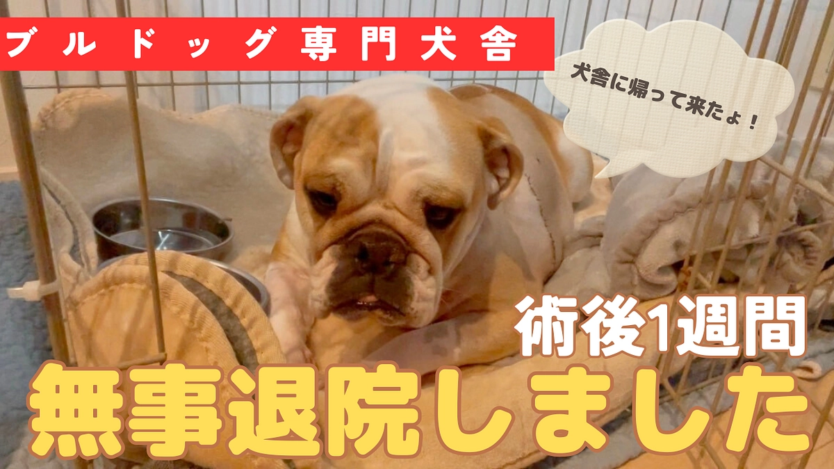 本日、無事退院‼️