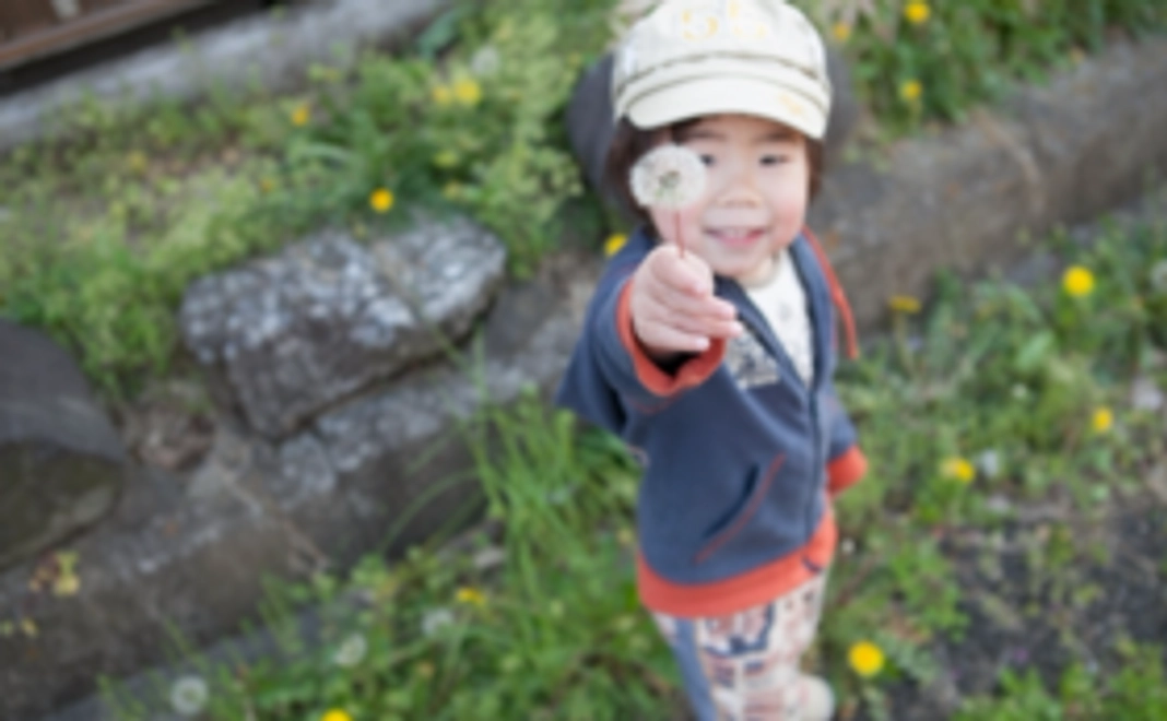 ライト支援コース