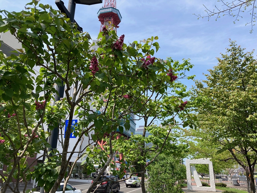 PMF～5月の風物詩①