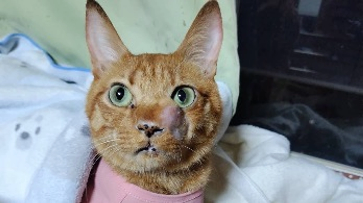 8/21  3度目の放射線治療