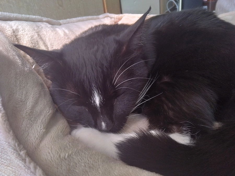 5/14はなちゃんの様子