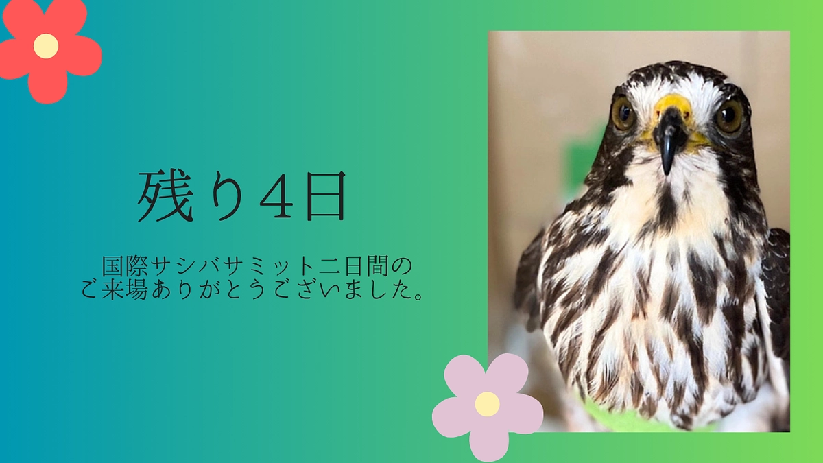 【国際サシバサミット大盛況にて閉幕/残り4日・達成率82％】