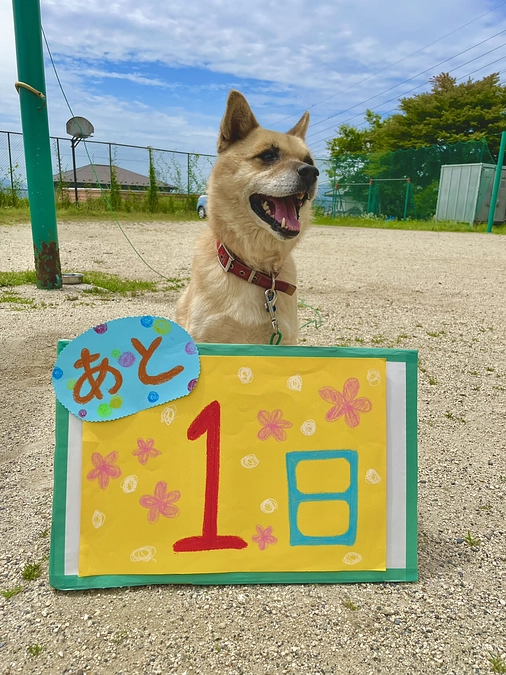 【残り1日になりました！】