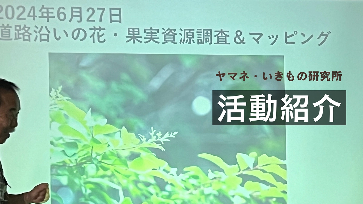 ご支援に感謝！🍃ヤマネ研究と生態系保全への歩み🌳