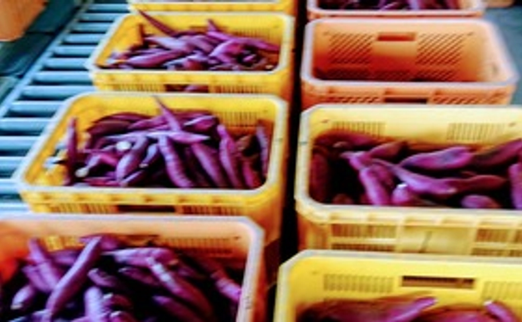 ご支援有り難うございます。皆様の真心有り難うございます