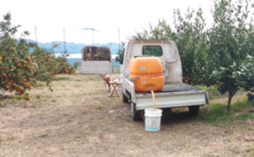 感謝　お名前ボードコース