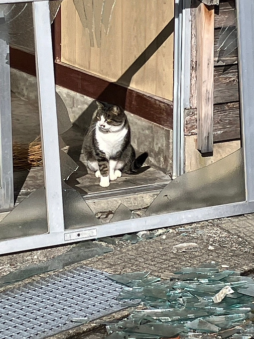 皆さんの支援が必要なんです