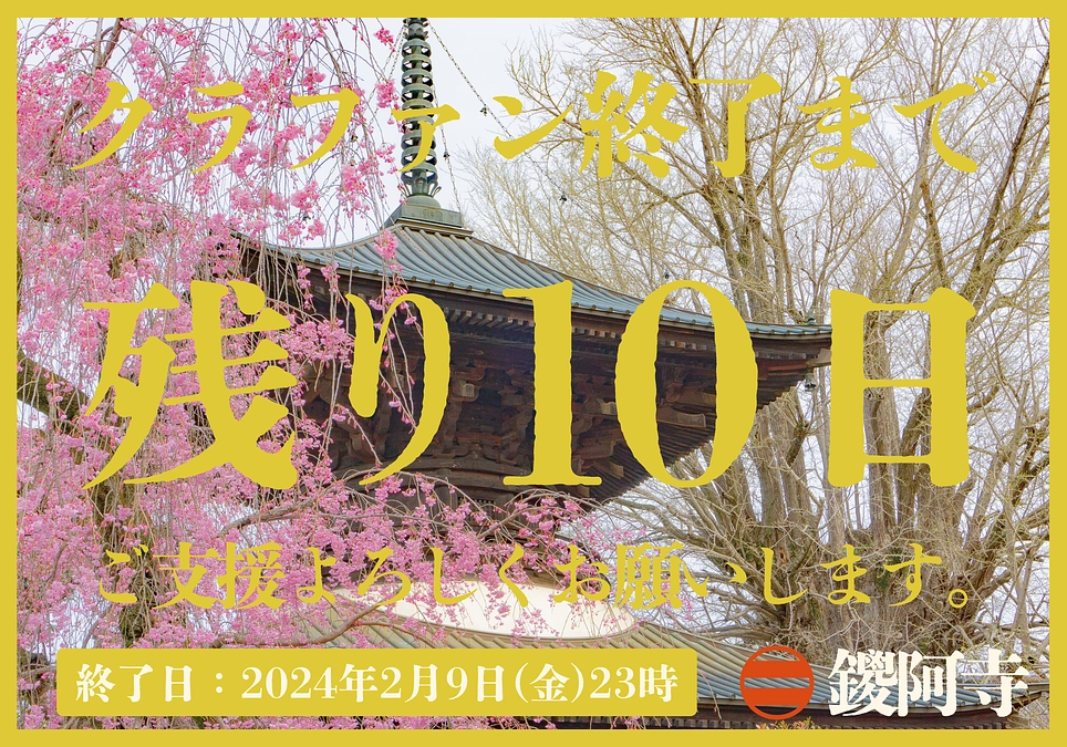プロジェクト終了まで残り10日となりました。