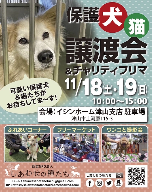 スタートから22日め！　譲渡会のお知らせ！