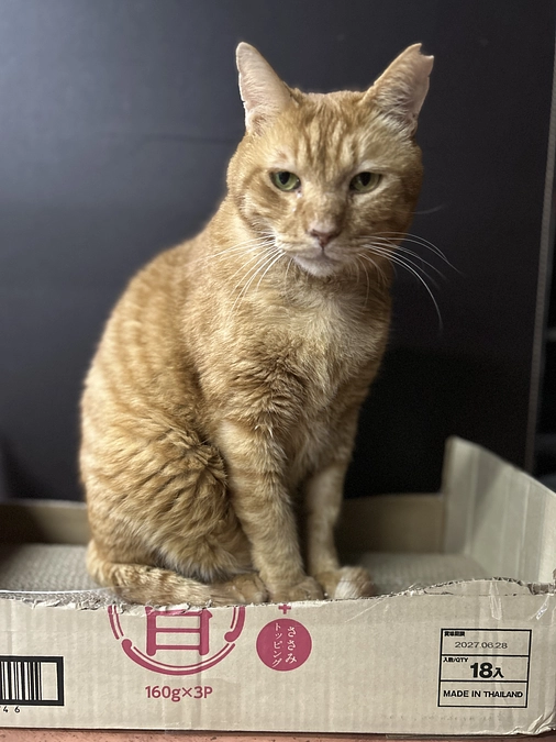 最近の物価高…