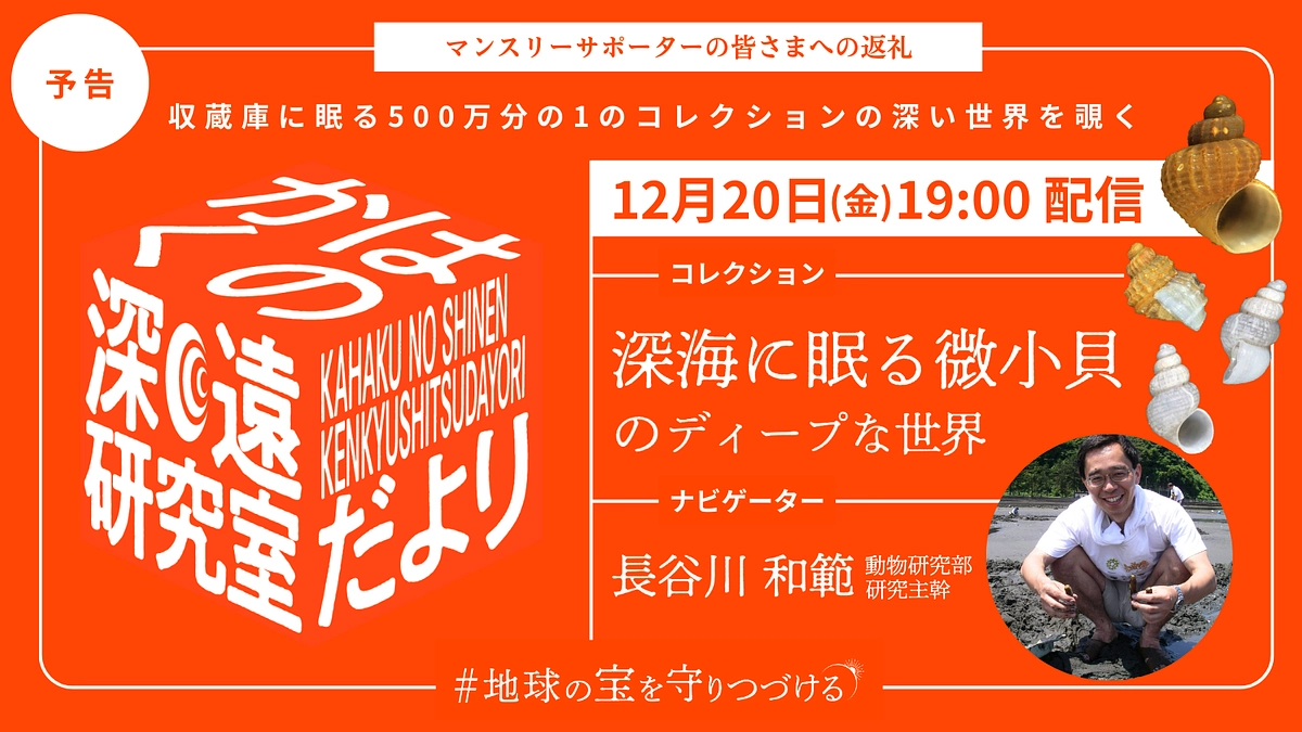 【予告】12/20配信_かはくの深遠研究室だよりfile5｜長谷川先生が語る、深海に眠る微小貝
