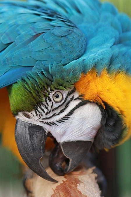 JJから99%のお知らせ