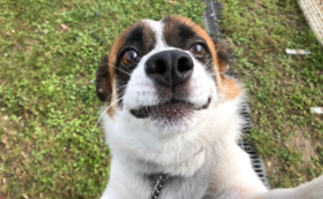 【10,000円】応援コース