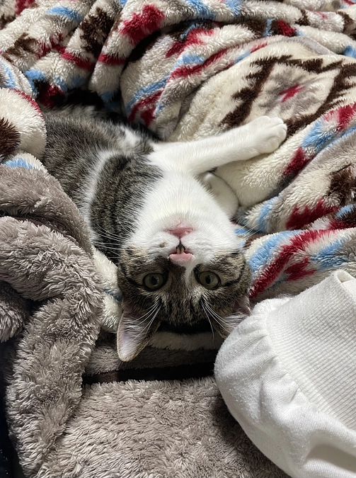 最近のしおくん③