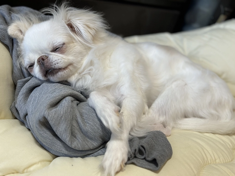 残り32日✊‼️