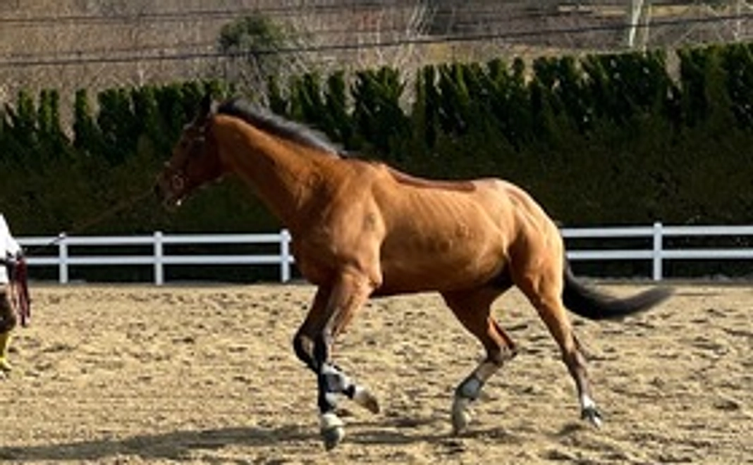 マンスリー支援2000円