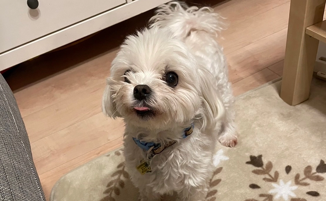 リターン不要の方1